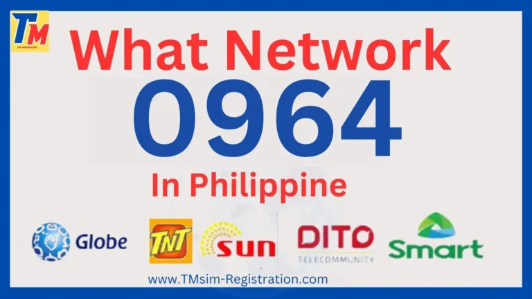 0964 What Network